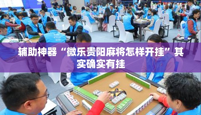 辅助神器“微乐贵阳麻将怎样开挂”其实确实有挂