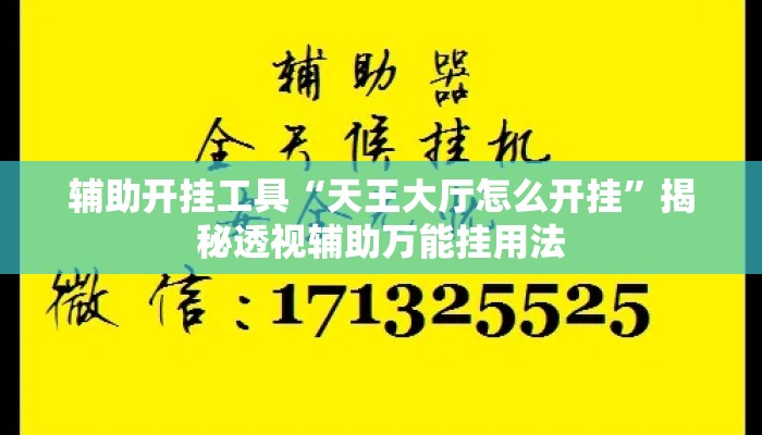 辅助开挂工具“天王大厅怎么开挂”揭秘透视辅助万能挂用法