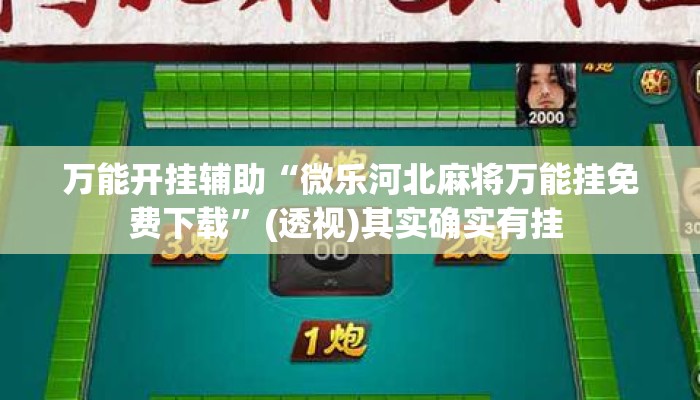 万能开挂辅助“微乐河北麻将万能挂免费下载”(透视)其实确实有挂 