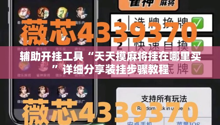 辅助开挂工具“天天摸麻将挂在哪里买”详细分享装挂步骤教程
