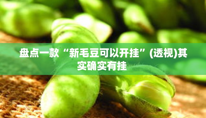 盘点一款“新毛豆可以开挂”(透视)其实确实有挂 