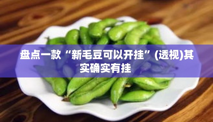 盘点一款“新毛豆可以开挂”(透视)其实确实有挂 