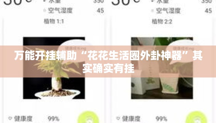 万能开挂辅助“花花生活圈外卦神器	”其实确实有挂