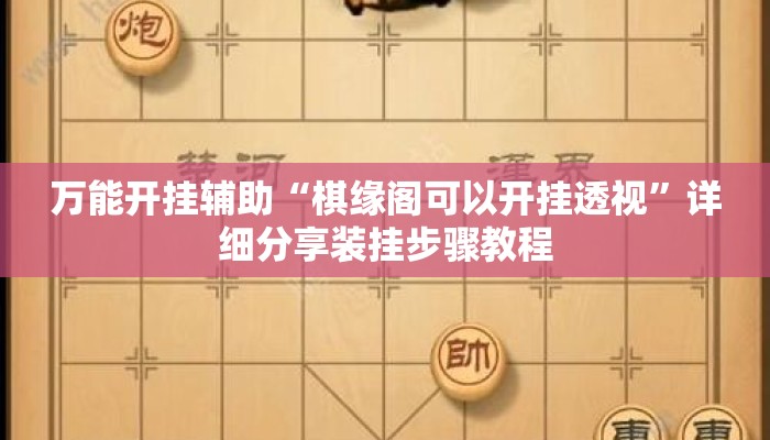 万能开挂辅助“棋缘阁可以开挂透视	”详细分享装挂步骤教程