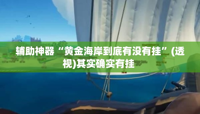 辅助神器“黄金海岸到底有没有挂	”(透视)其实确实有挂 