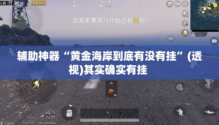 辅助神器“黄金海岸到底有没有挂”(透视)其实确实有挂 