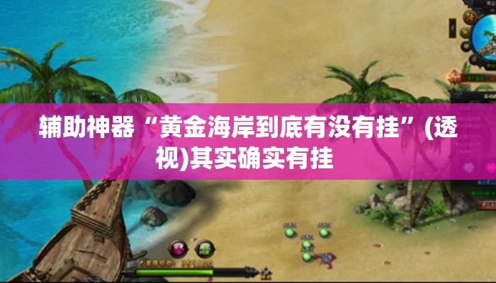 辅助神器“黄金海岸到底有没有挂”(透视)其实确实有挂 