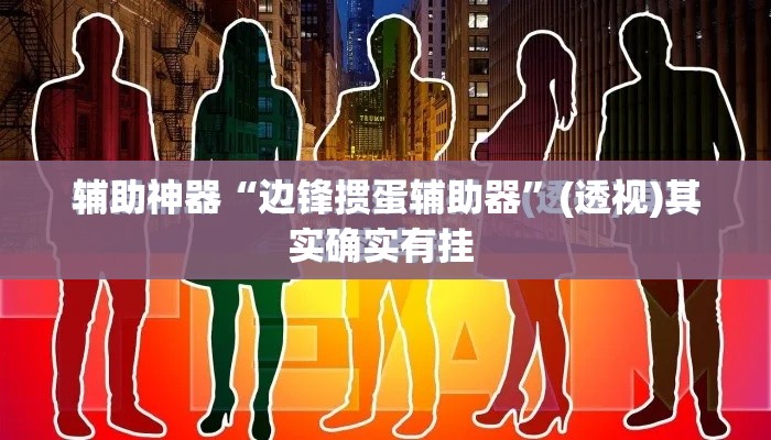 辅助神器“边锋掼蛋辅助器	”(透视)其实确实有挂 
