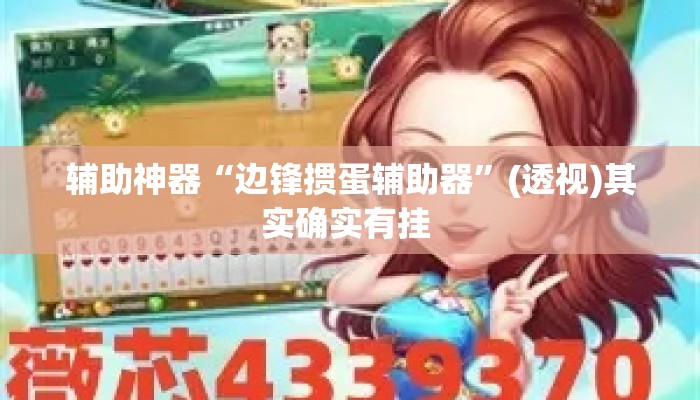 辅助神器“边锋掼蛋辅助器”(透视)其实确实有挂 