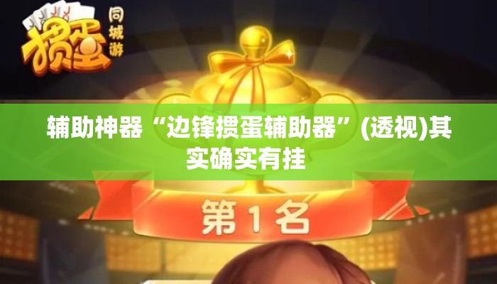 辅助神器“边锋掼蛋辅助器”(透视)其实确实有挂 