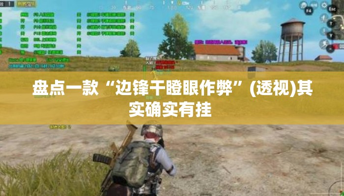 盘点一款“边锋干瞪眼作弊”(透视)其实确实有挂 