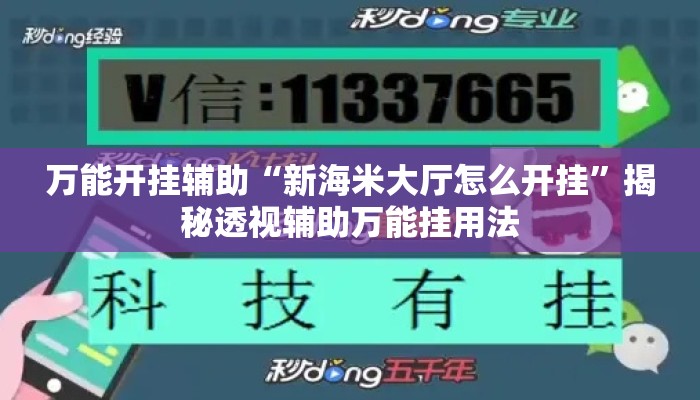万能开挂辅助“新海米大厅怎么开挂”揭秘透视辅助万能挂用法