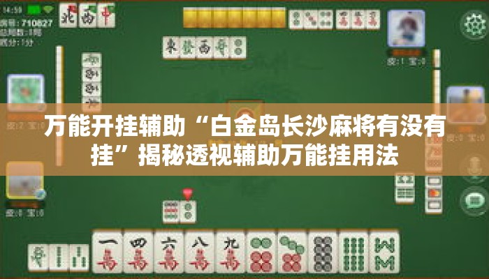 万能开挂辅助“白金岛长沙麻将有没有挂”揭秘透视辅助万能挂用法