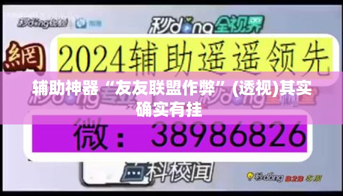 辅助神器“友友联盟作弊”(透视)其实确实有挂 