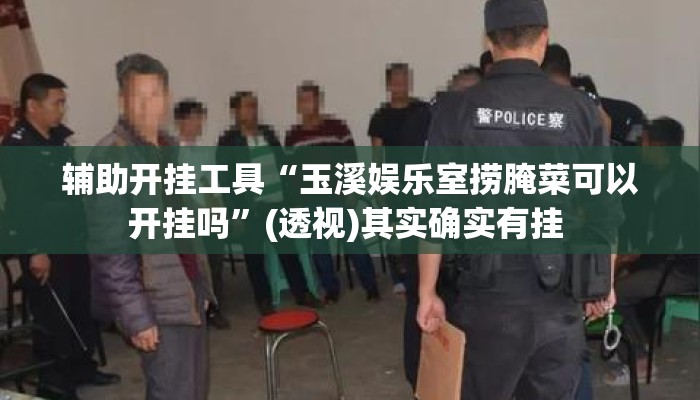 辅助开挂工具“玉溪娱乐室捞腌菜可以开挂吗”(透视)其实确实有挂 