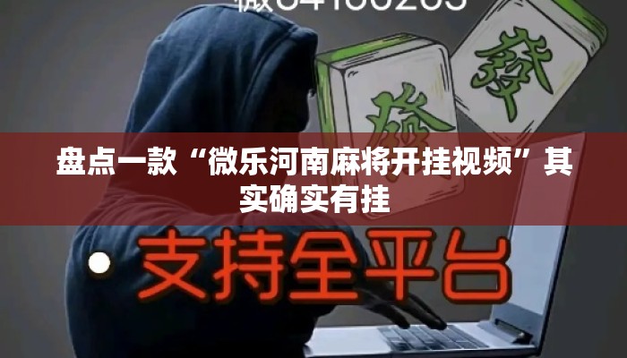 盘点一款“微乐河南麻将开挂视频”其实确实有挂