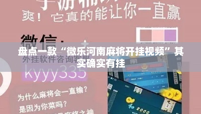 盘点一款“微乐河南麻将开挂视频”其实确实有挂