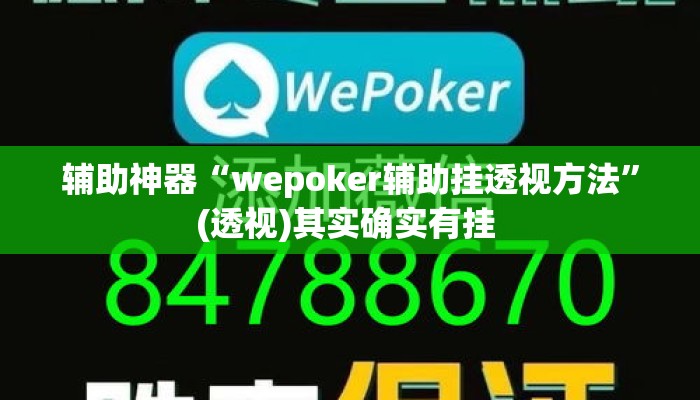 辅助神器“wepoker辅助挂透视方法”(透视)其实确实有挂 