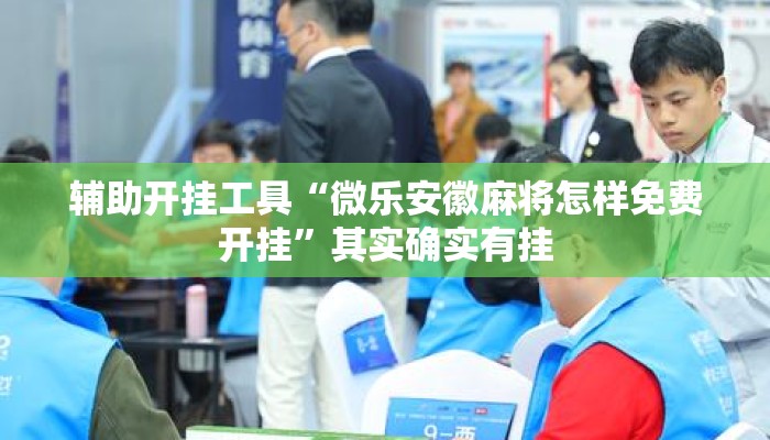 辅助开挂工具“微乐安徽麻将怎样免费开挂	”其实确实有挂