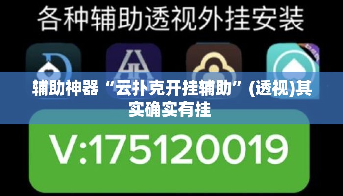 辅助神器“云扑克开挂辅助	”(透视)其实确实有挂 