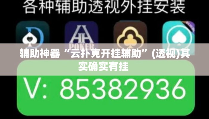 辅助神器“云扑克开挂辅助”(透视)其实确实有挂 