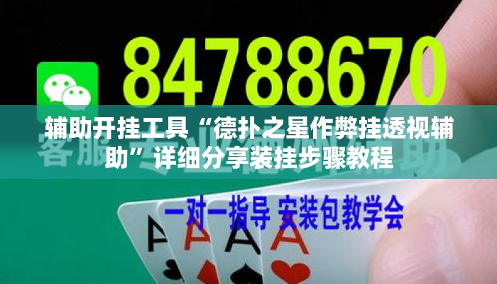 辅助开挂工具“德扑之星作弊挂透视辅助	”详细分享装挂步骤教程