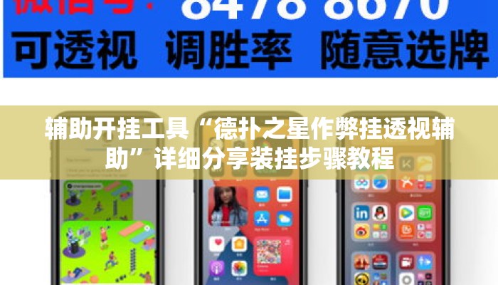 辅助开挂工具“德扑之星作弊挂透视辅助	”详细分享装挂步骤教程