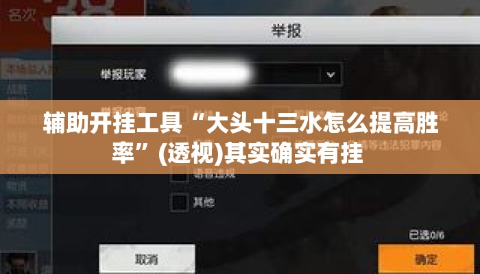辅助开挂工具“大头十三水怎么提高胜率”(透视)其实确实有挂 
