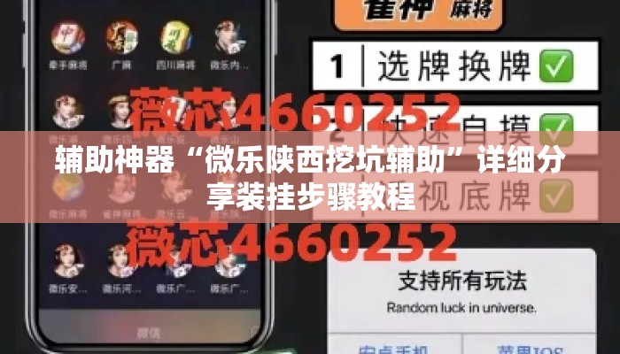 辅助神器“微乐陕西挖坑辅助”详细分享装挂步骤教程