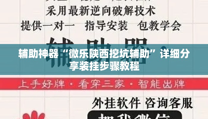 辅助神器“微乐陕西挖坑辅助”详细分享装挂步骤教程