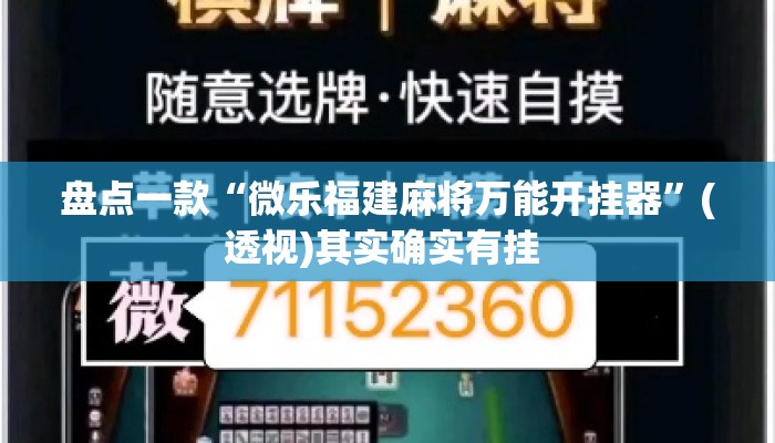盘点一款“微乐福建麻将万能开挂器”(透视)其实确实有挂 