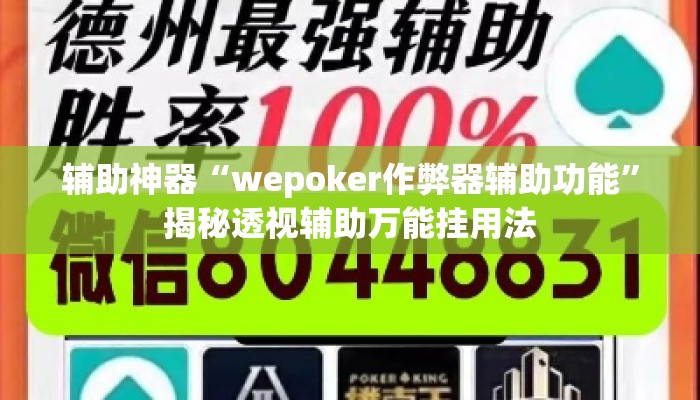 辅助神器“wepoker作弊器辅助功能”揭秘透视辅助万能挂用法
