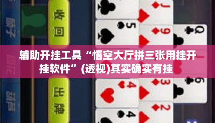 辅助开挂工具“悟空大厅拼三张用挂开挂软件”(透视)其实确实有挂 