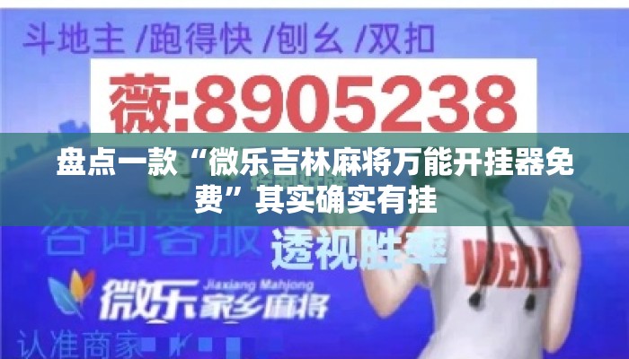 盘点一款“微乐吉林麻将万能开挂器免费	”其实确实有挂