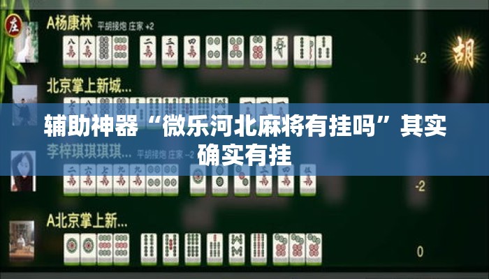 辅助神器“微乐河北麻将有挂吗	”其实确实有挂