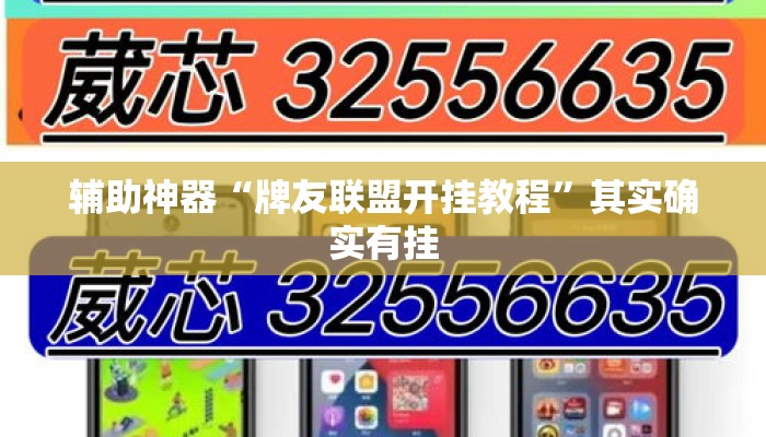 辅助神器“牌友联盟开挂教程”其实确实有挂