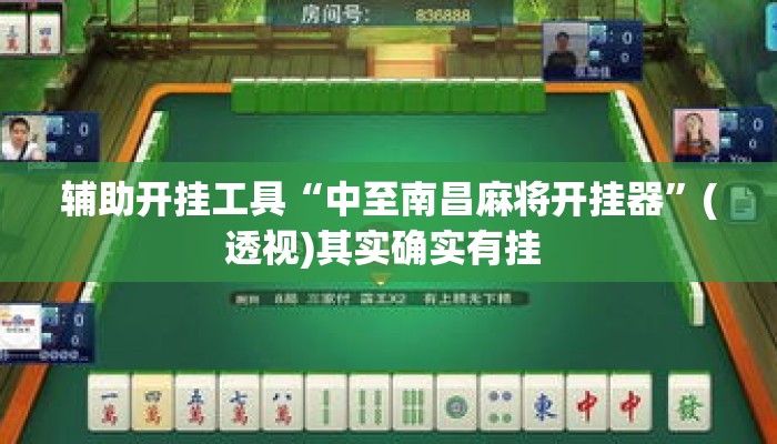 辅助开挂工具“中至南昌麻将开挂器”(透视)其实确实有挂 
