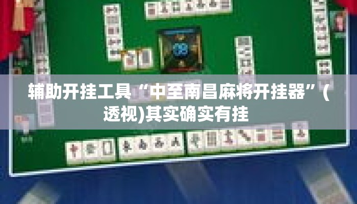 辅助开挂工具“中至南昌麻将开挂器	”(透视)其实确实有挂 