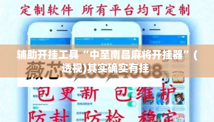 辅助开挂工具“中至南昌麻将开挂器”(透视)其实确实有挂 