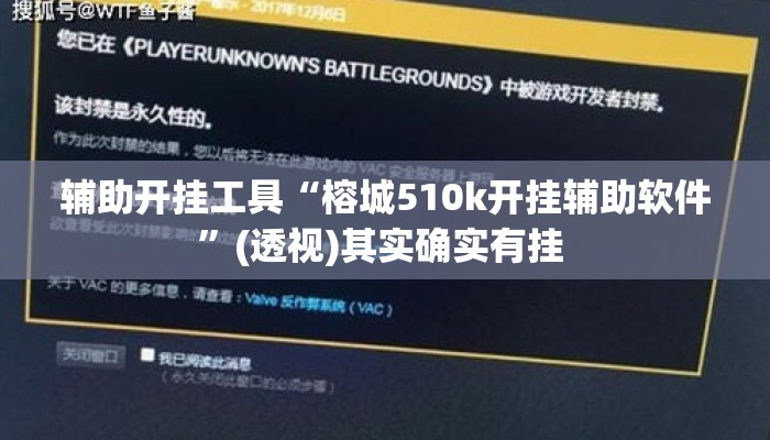 万能开挂辅助“华龙棋牌可以开挂吗	”其实确实有挂