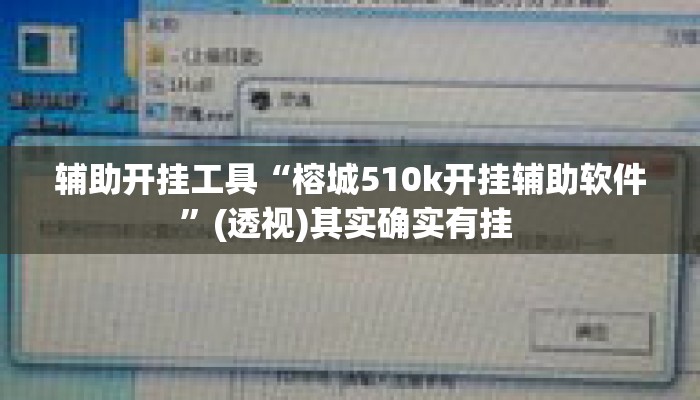 辅助开挂工具“榕城510k开挂辅助软件	”(透视)其实确实有挂 