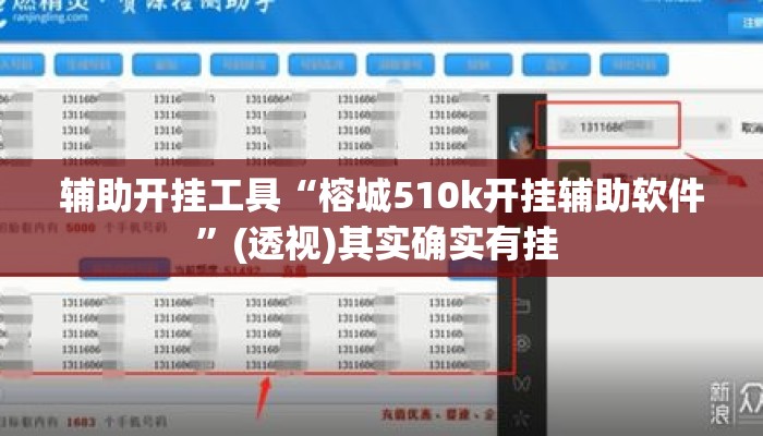 辅助开挂工具“榕城510k开挂辅助软件”(透视)其实确实有挂 