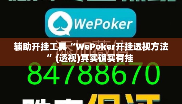 辅助开挂工具“WePoker开挂透视方法	”(透视)其实确实有挂 