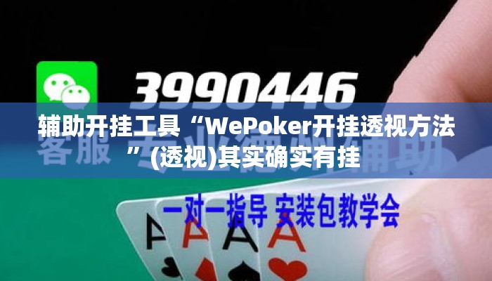 辅助开挂工具“WePoker开挂透视方法”(透视)其实确实有挂 