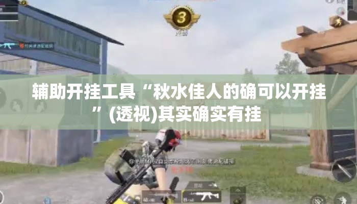辅助开挂工具“秋水佳人的确可以开挂	”(透视)其实确实有挂 
