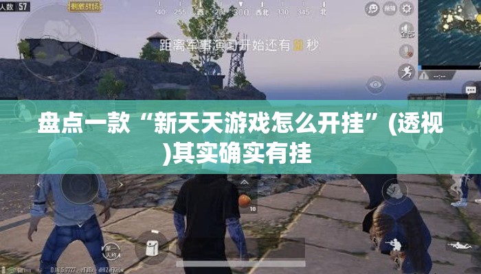 盘点一款“新天天游戏怎么开挂	”(透视)其实确实有挂 