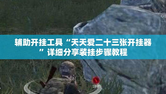 辅助开挂工具“天天爱二十三张开挂器”详细分享装挂步骤教程