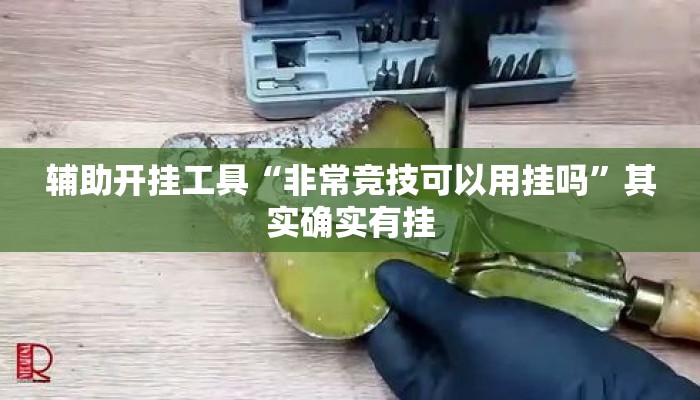 辅助开挂工具“非常竞技可以用挂吗”其实确实有挂
