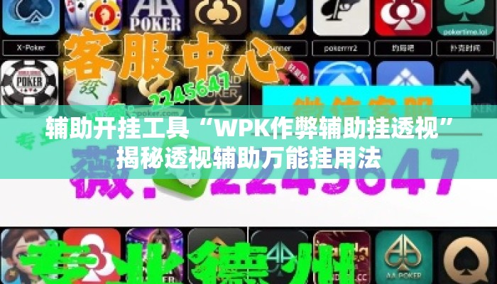 辅助开挂工具“WPK作弊辅助挂透视”揭秘透视辅助万能挂用法