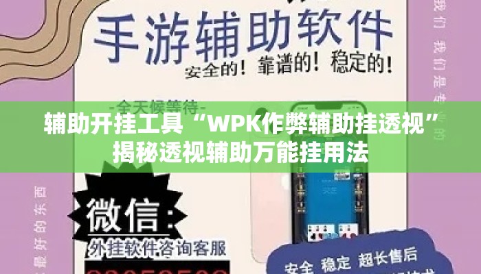 辅助开挂工具“WPK作弊辅助挂透视”揭秘透视辅助万能挂用法